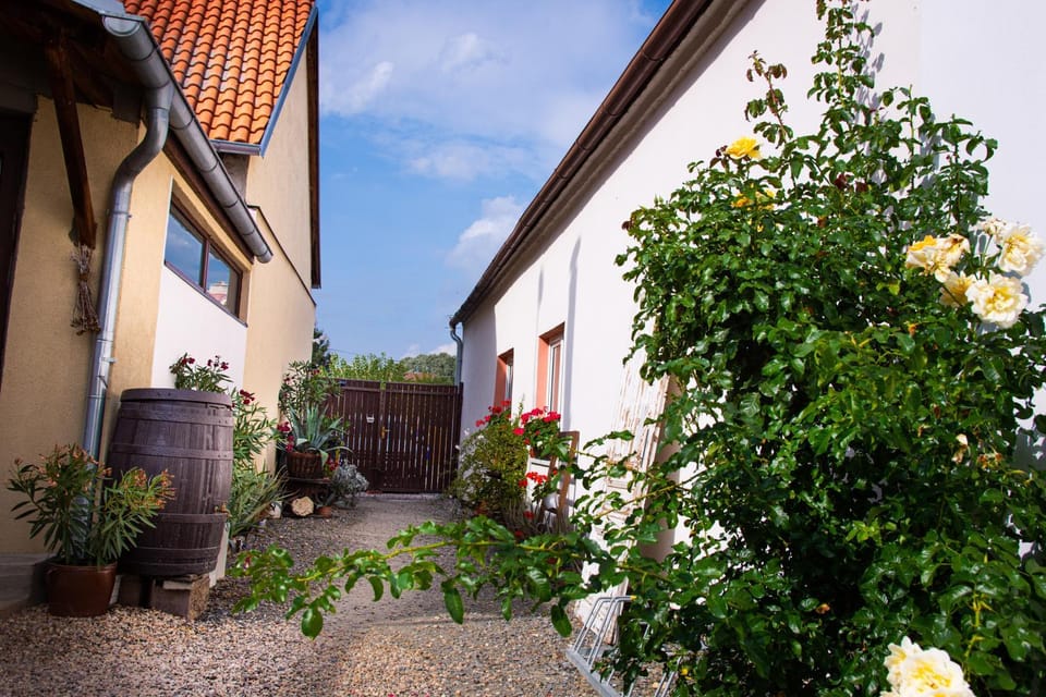 Penzion Marhulka Bed and Breakfast in South Moravian Region