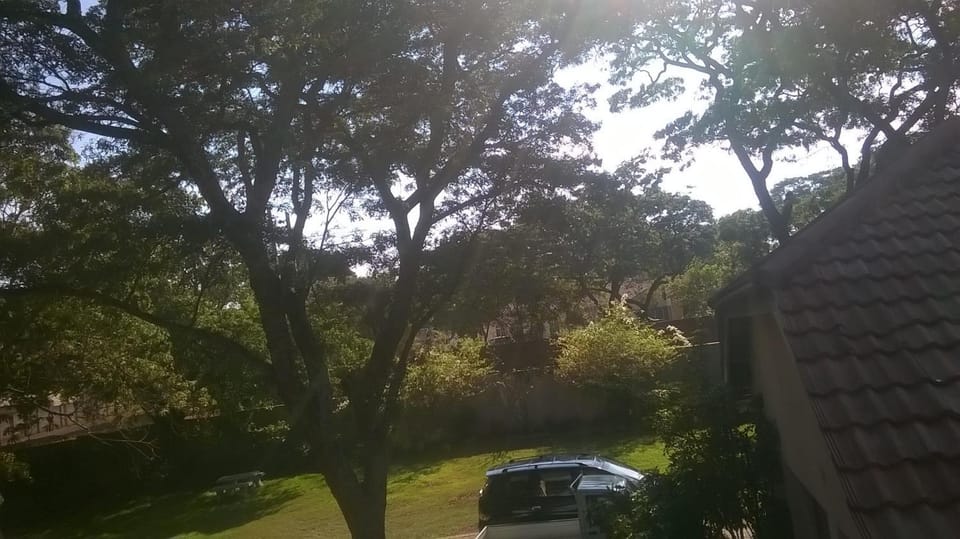 Garden, Garden view