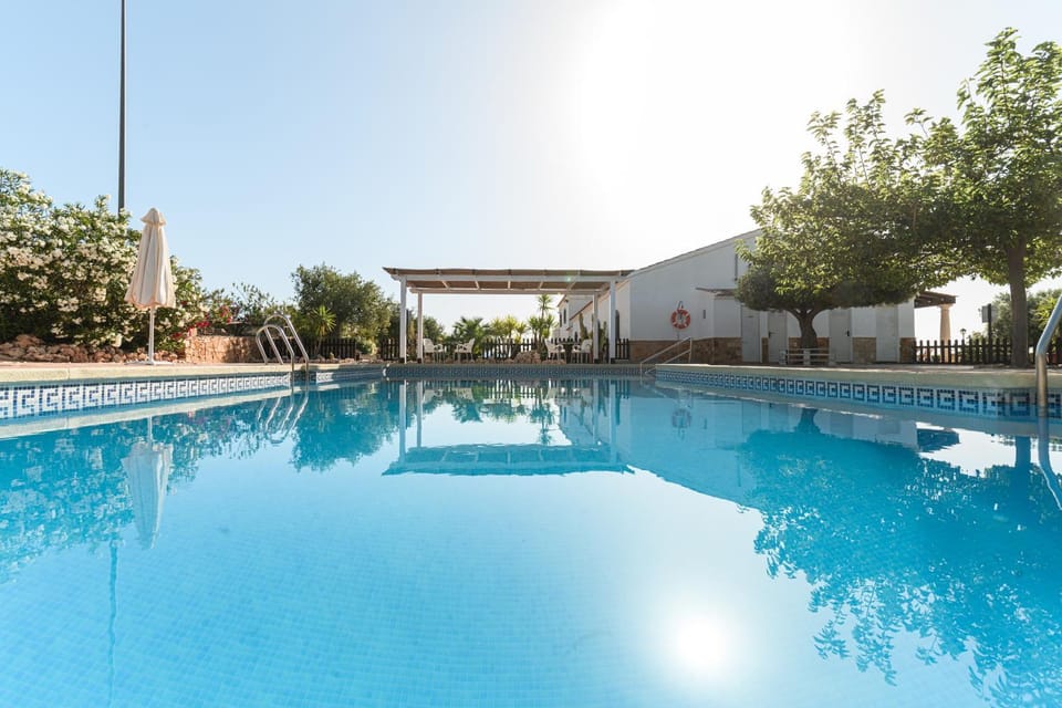 Pool view, Swimming pool, Swimming pool, sunbed