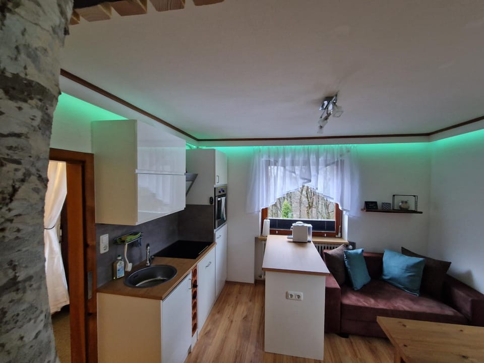 Kitchen or kitchenette, Dining area