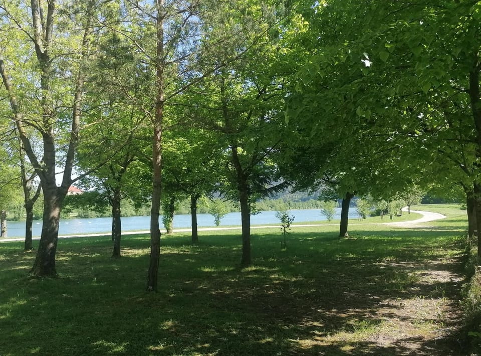 Natural landscape, River view