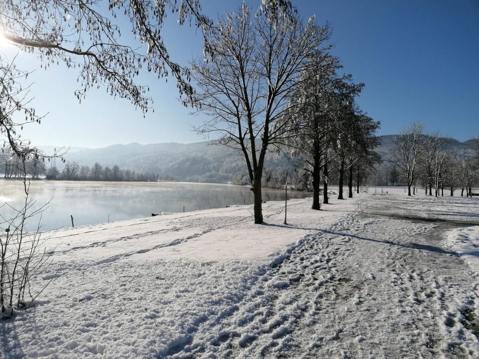 Day, Natural landscape, Winter, Lake view
