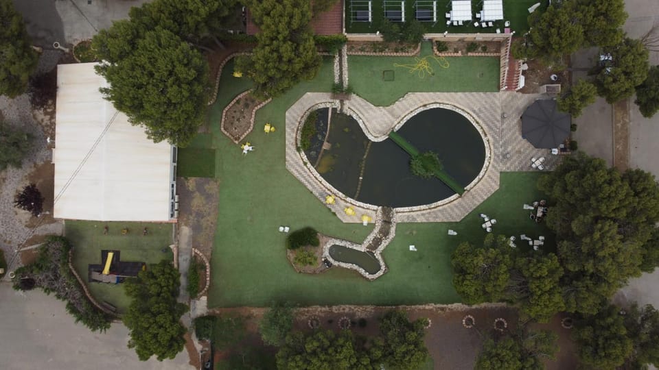 Bird's eye view, Garden view