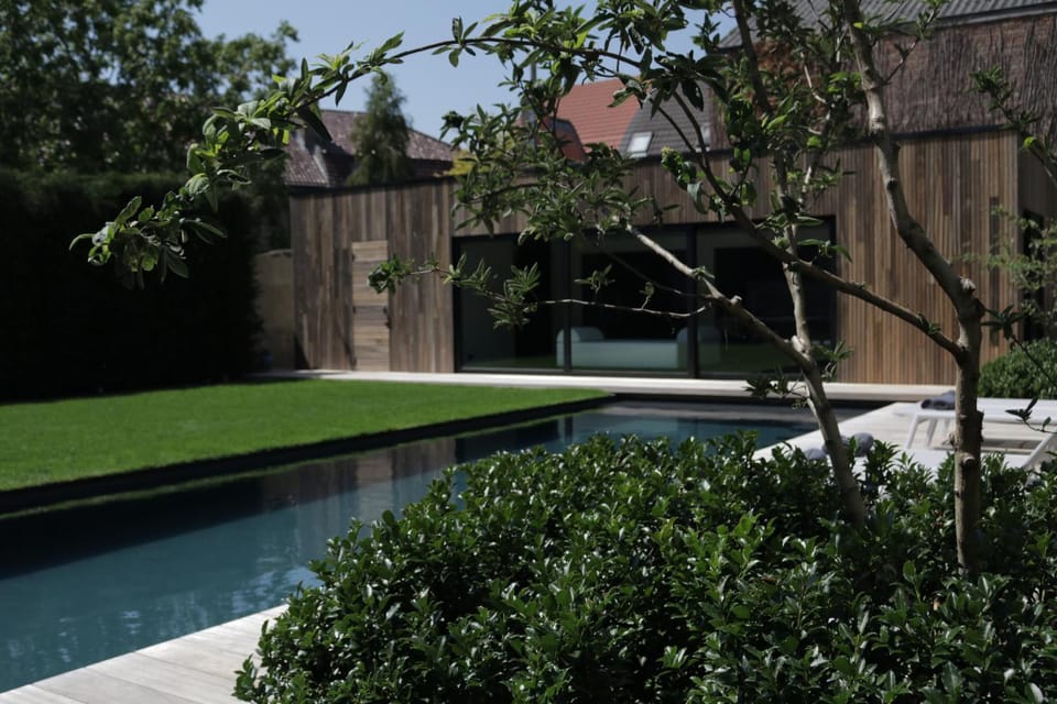 Garden, Swimming pool