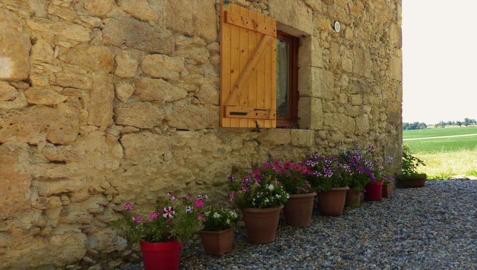 Facade/entrance, Garden