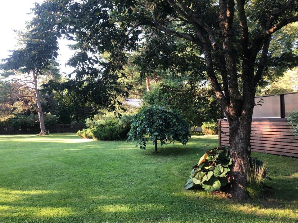 Garden view