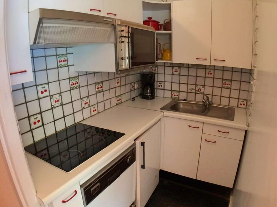Appartement 3 pièces, 6 couchages, Vars Les Claux, animaux admis - FR-1-330B-16 Apartment in Piedmont