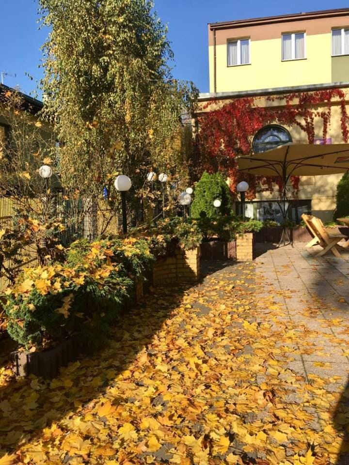 Patio, Autumn, On site