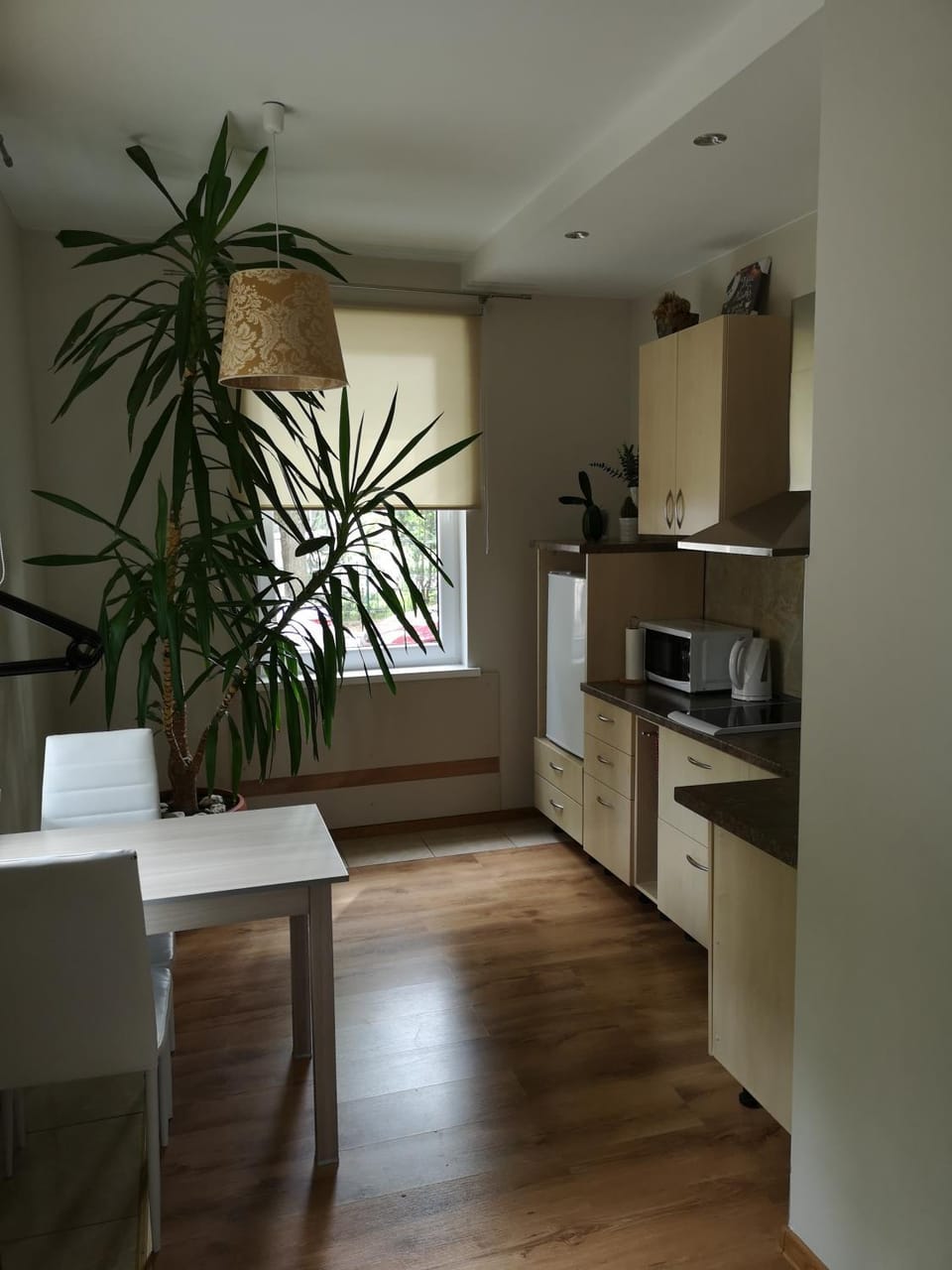 Jaukus butas Šiaulių miesto centre Apartment in Lithuania