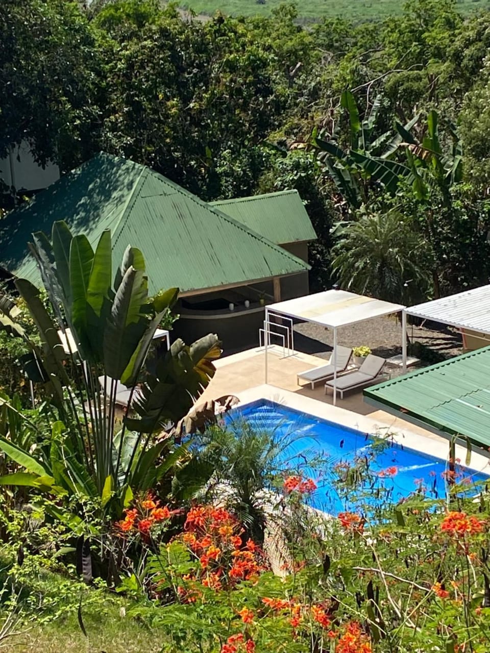 Garden view