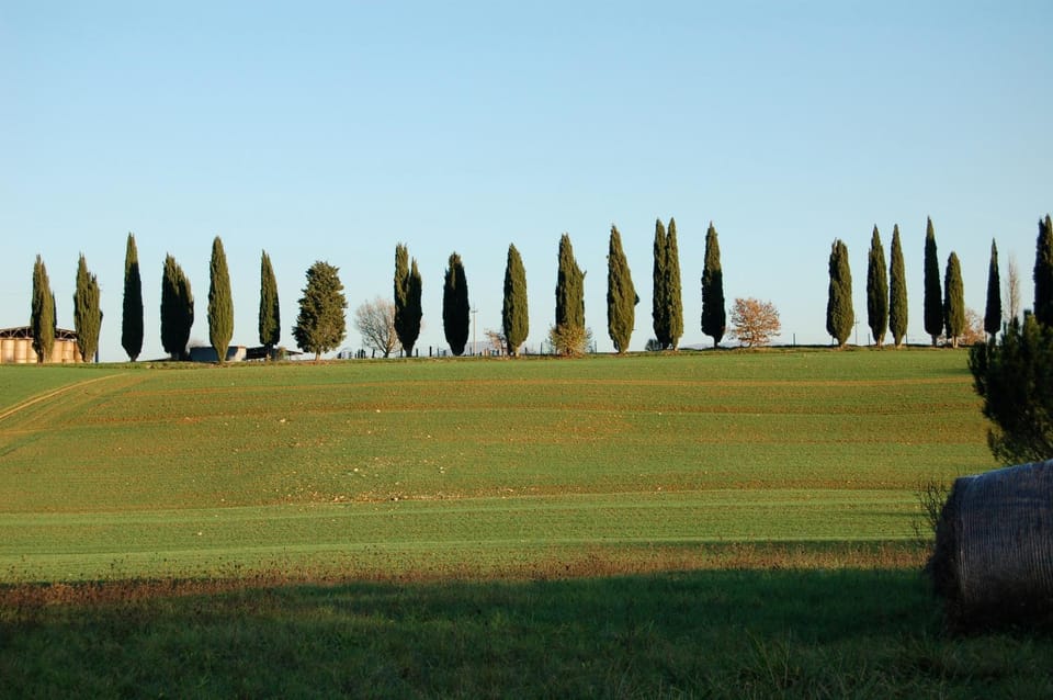 Natural landscape, Garden