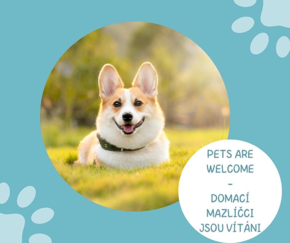 Pets