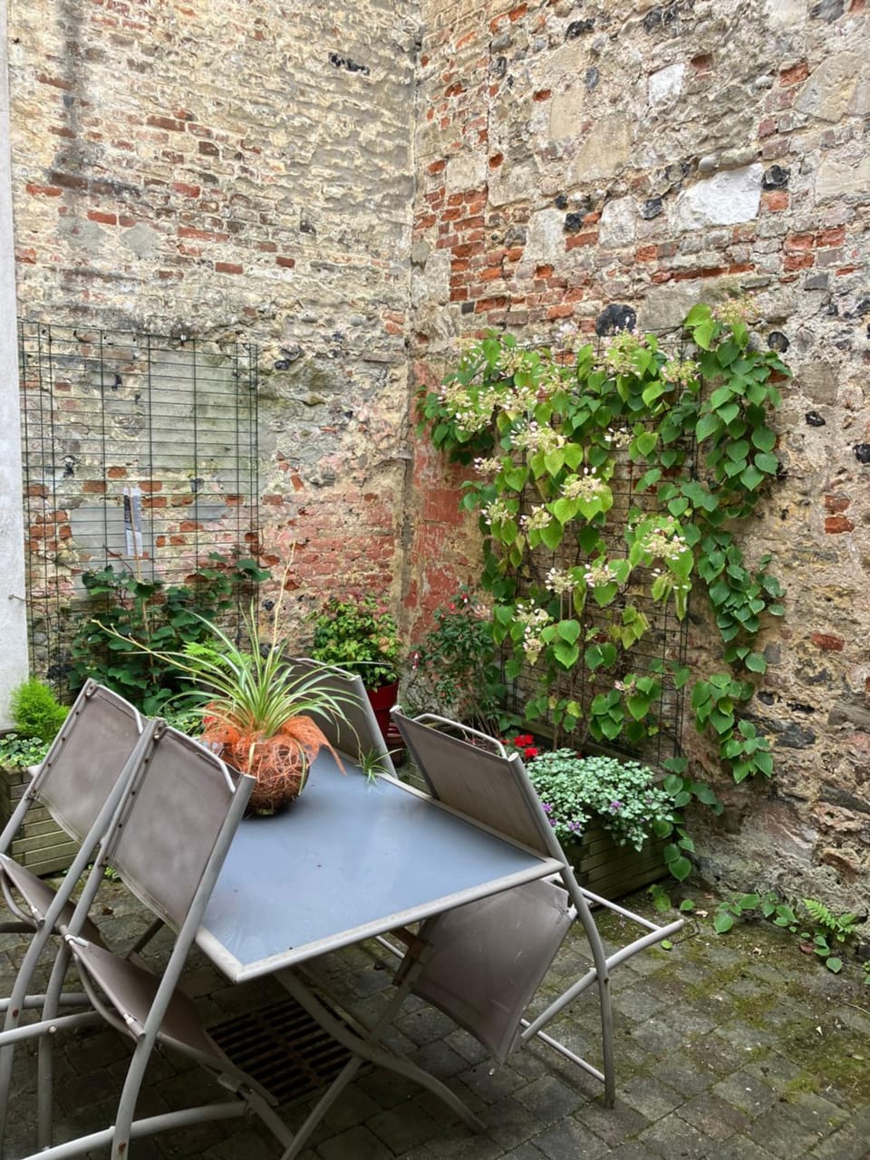 Inner courtyard view