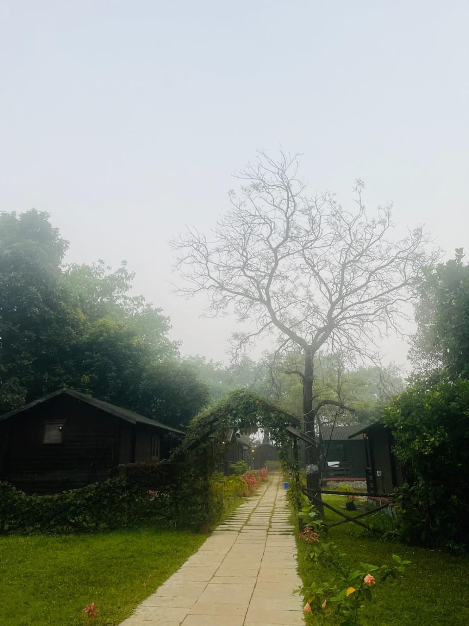 Natural landscape