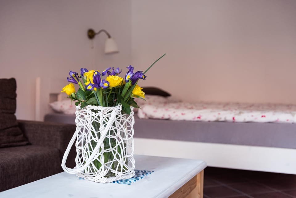 Apartmany Rabi Apartment in Czechia
