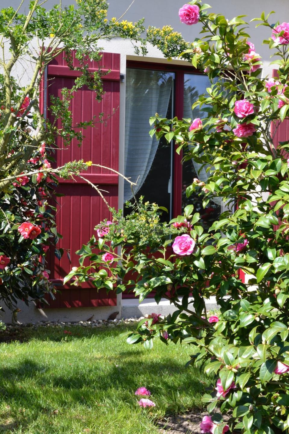 View (from property/room)