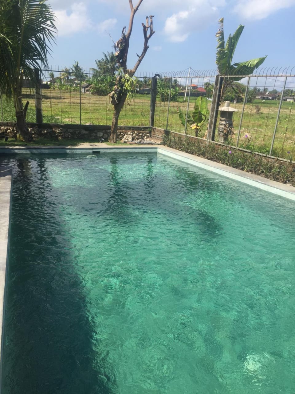 On site, Pool view, Swimming pool, Swimming pool