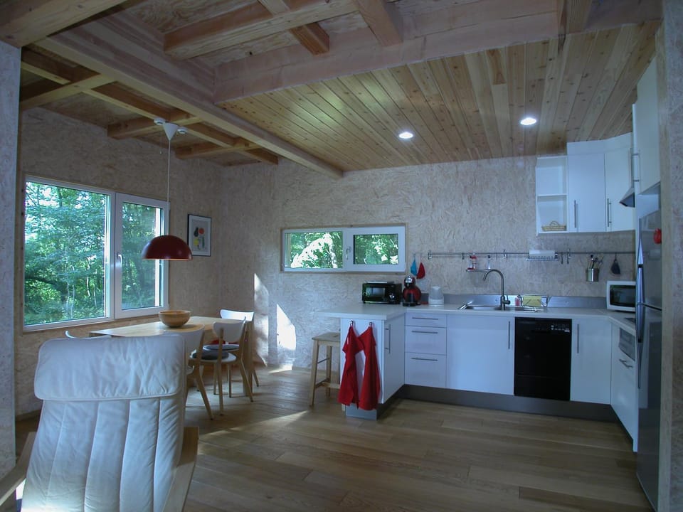 Kitchen or kitchenette, Dining area