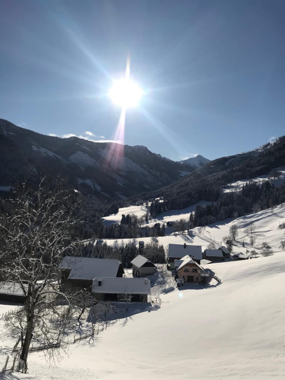 Mountain view