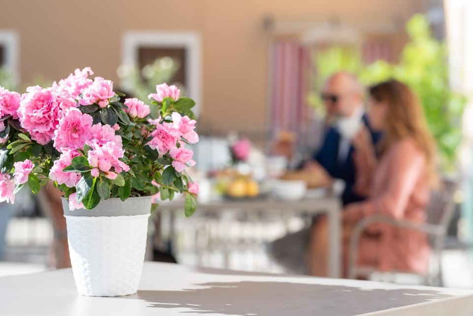 Villa di Cazzano - BioLuxury Living Bed and Breakfast in Veneto