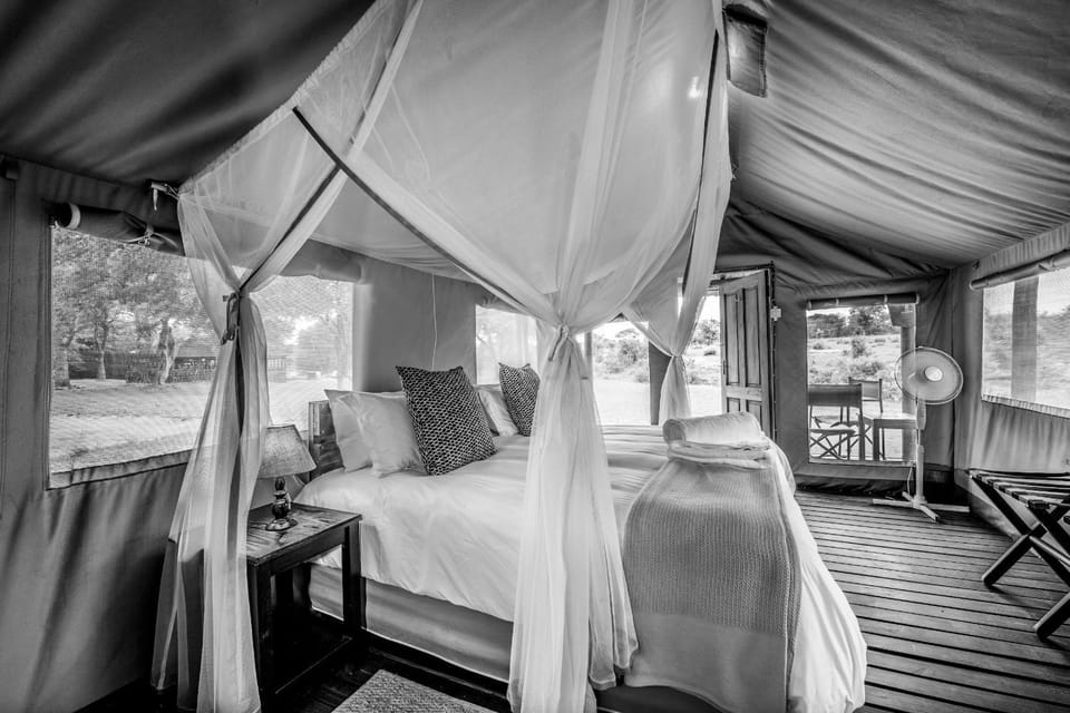 Shindzela Tented Camp Luxury tent in South Africa