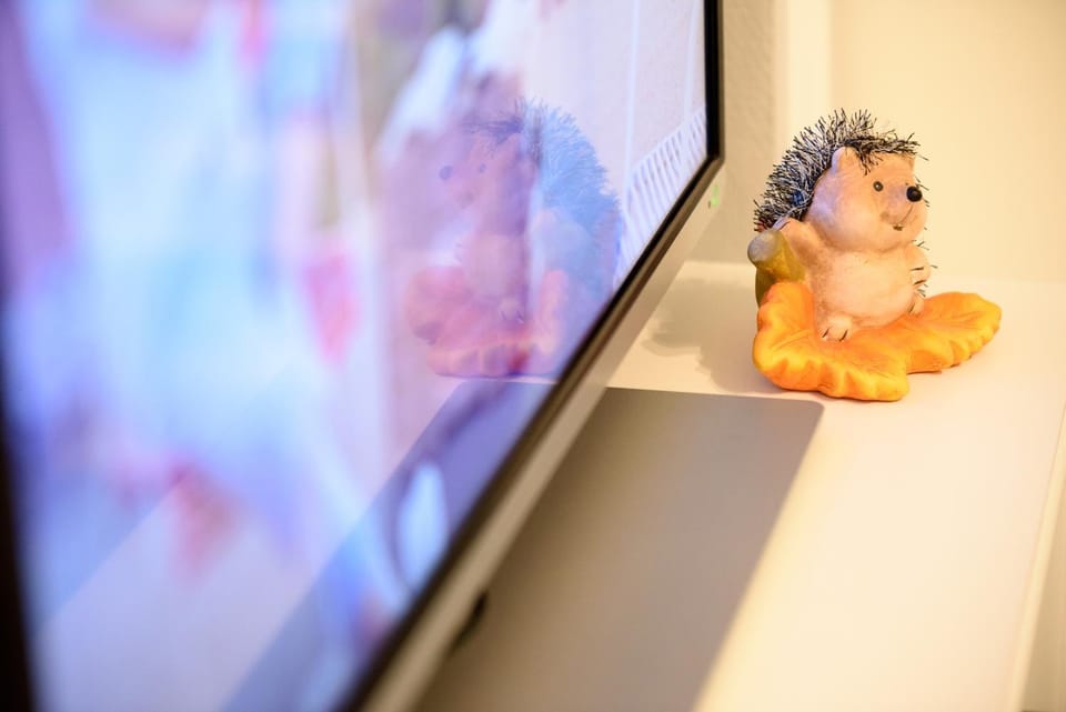 TV and multimedia