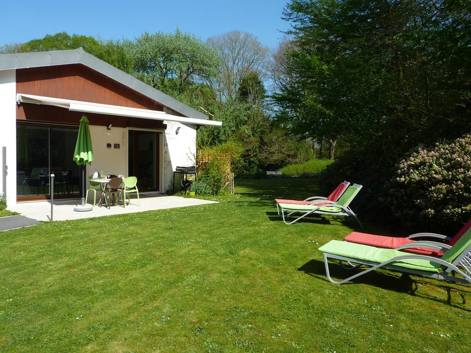 Patio, Natural landscape, Garden, Garden view, sunbed