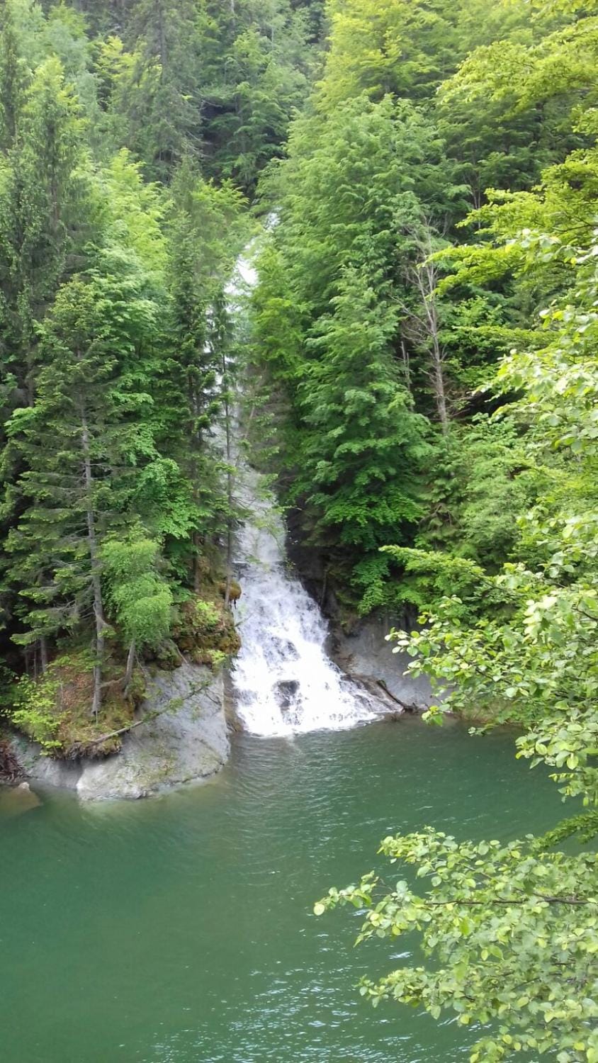 Natural landscape