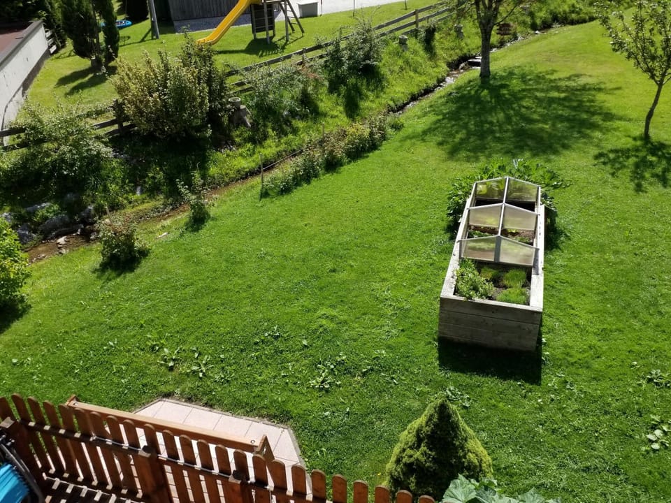 Day, Summer, Garden, Garden view