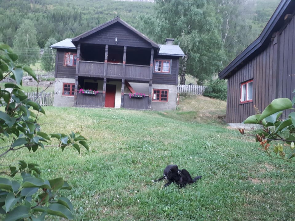 Property building
