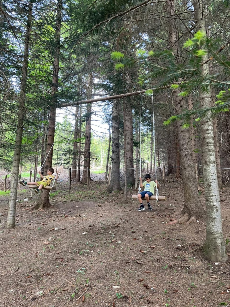 Durmitor Apartments Holiday Apartment in Montenegro