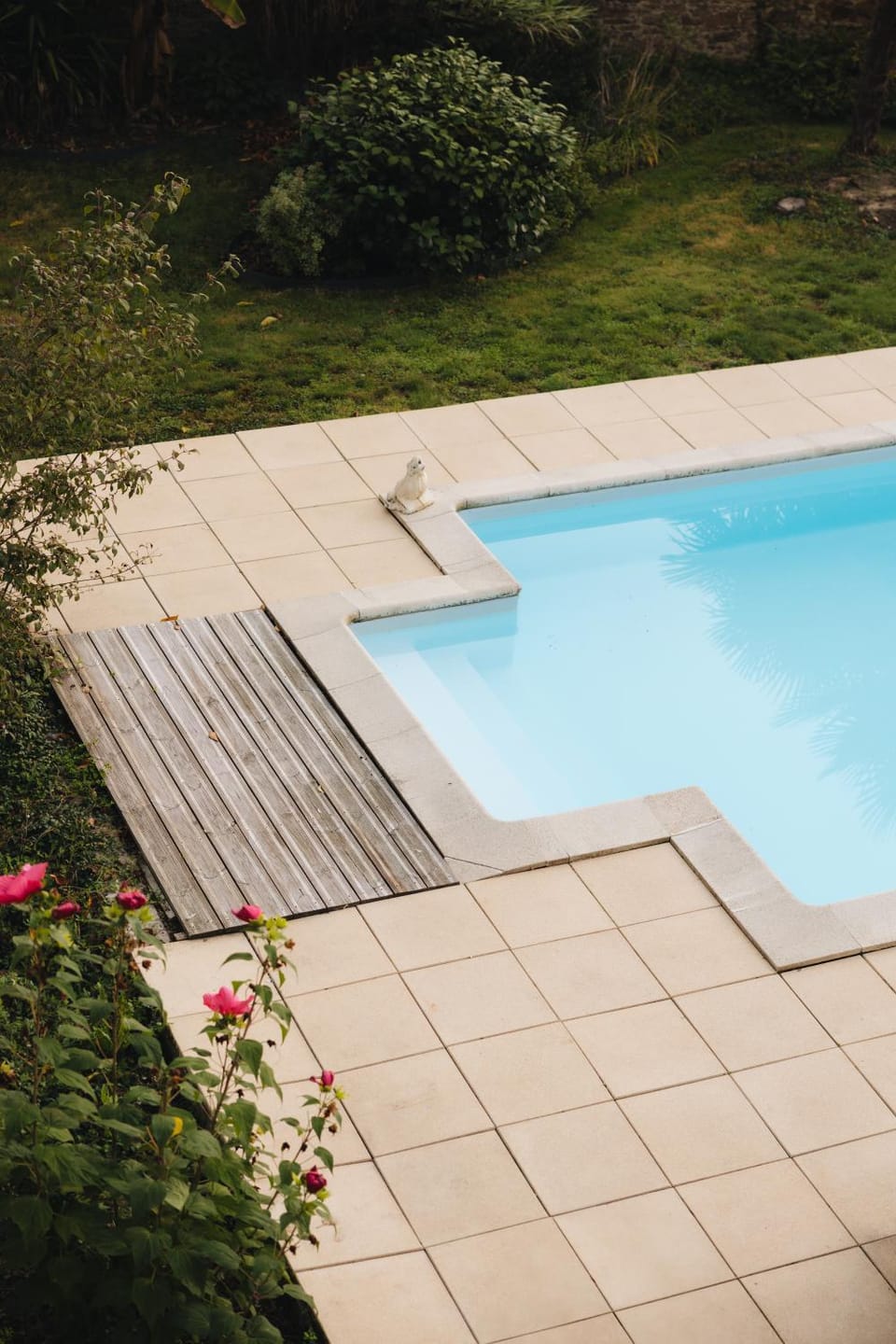 Garden view, Pool view, Swimming pool, sunbed
