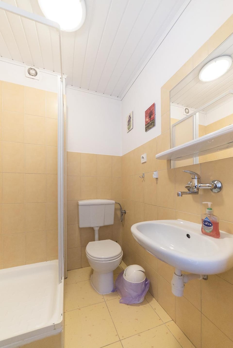 Shower, Toilet, Bathroom, towels