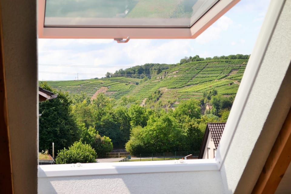 Mountain view, River view
