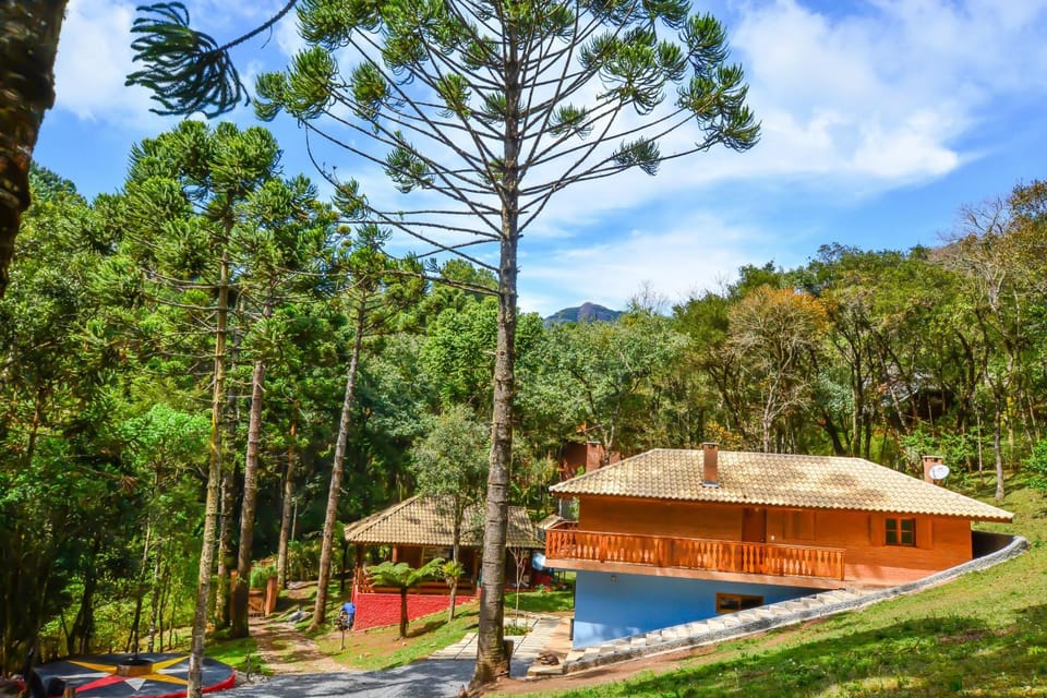 Garden, Garden view, Mountain view