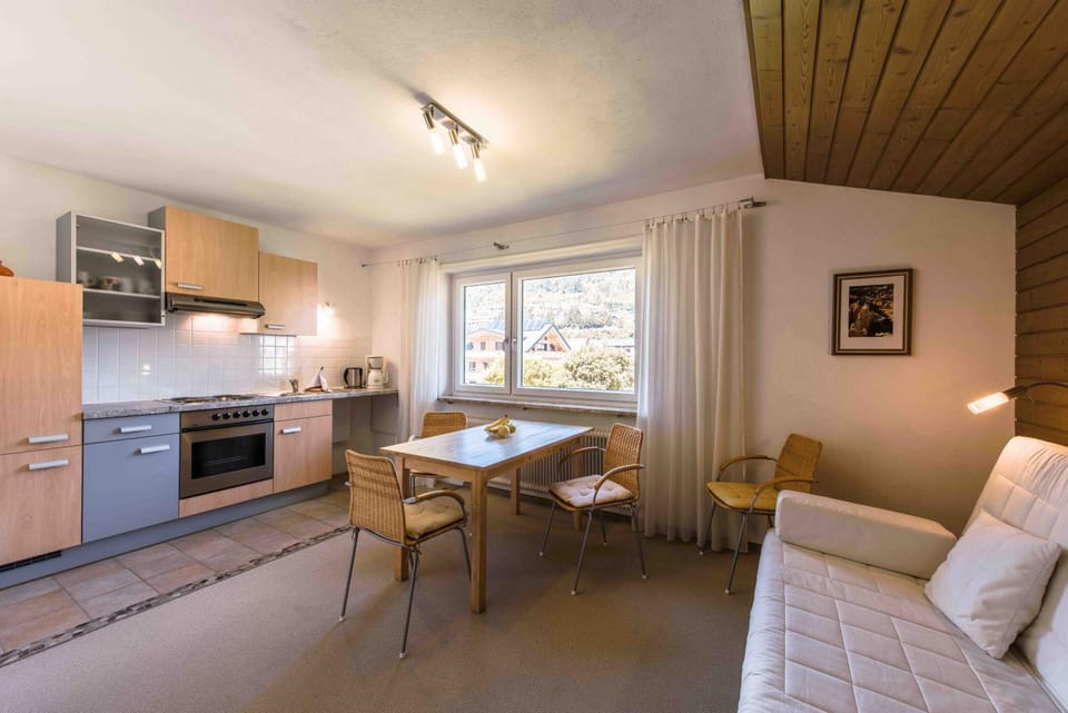 Kitchen or kitchenette, Seating area, Dining area