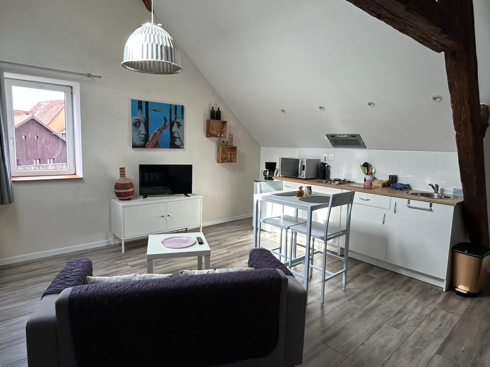 L'Ours de Colmar bis Apartment in Colmar