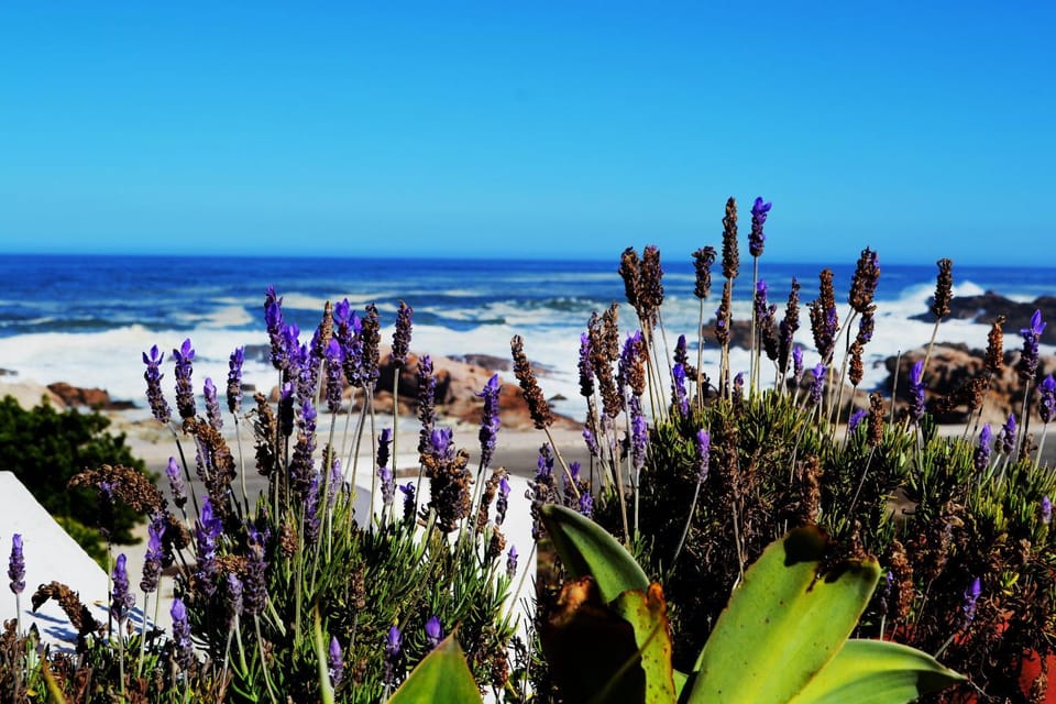 54 On Strand House in Western Cape