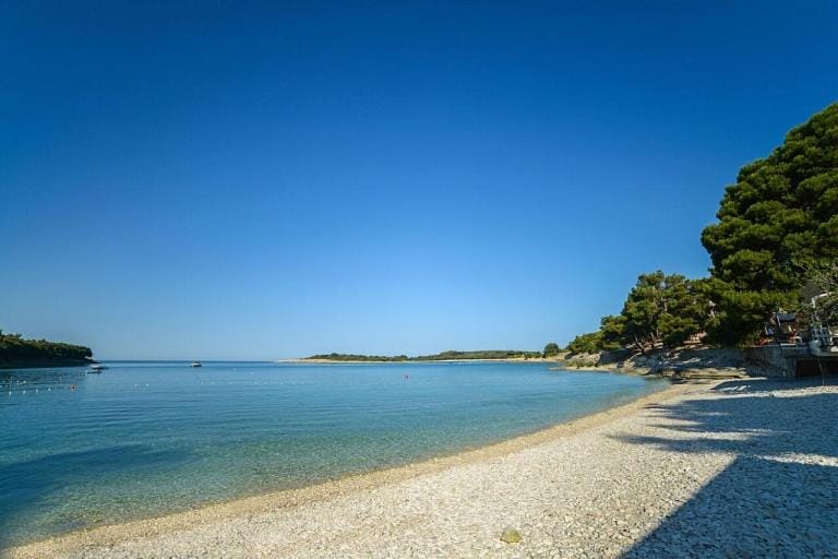 Off site, Summer, Snorkeling, Diving