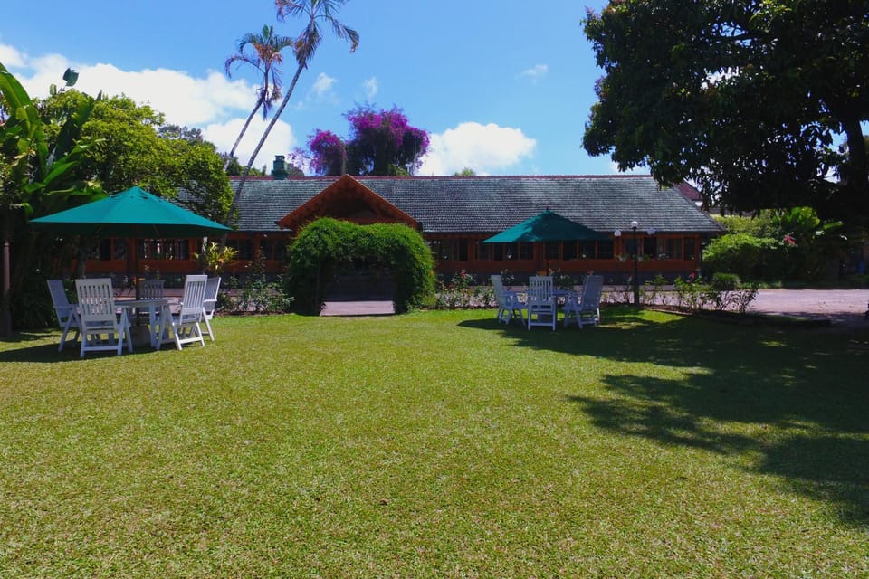 Property building, Natural landscape, Garden, Coffee/tea facilities
