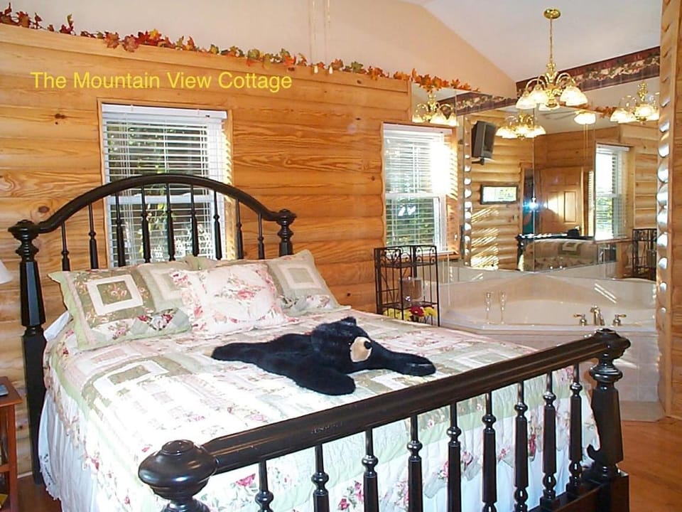 Bed, Hot Tub, Bathroom, Bedroom