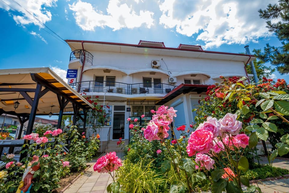 Spring, Day, Garden, Lounge or bar, Garden view