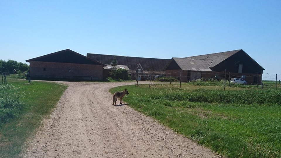 Facade/entrance, Other