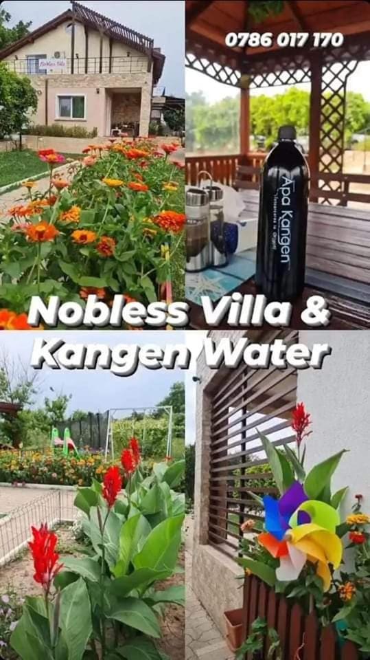 Nobless Villa Bed and Breakfast in Constanța County