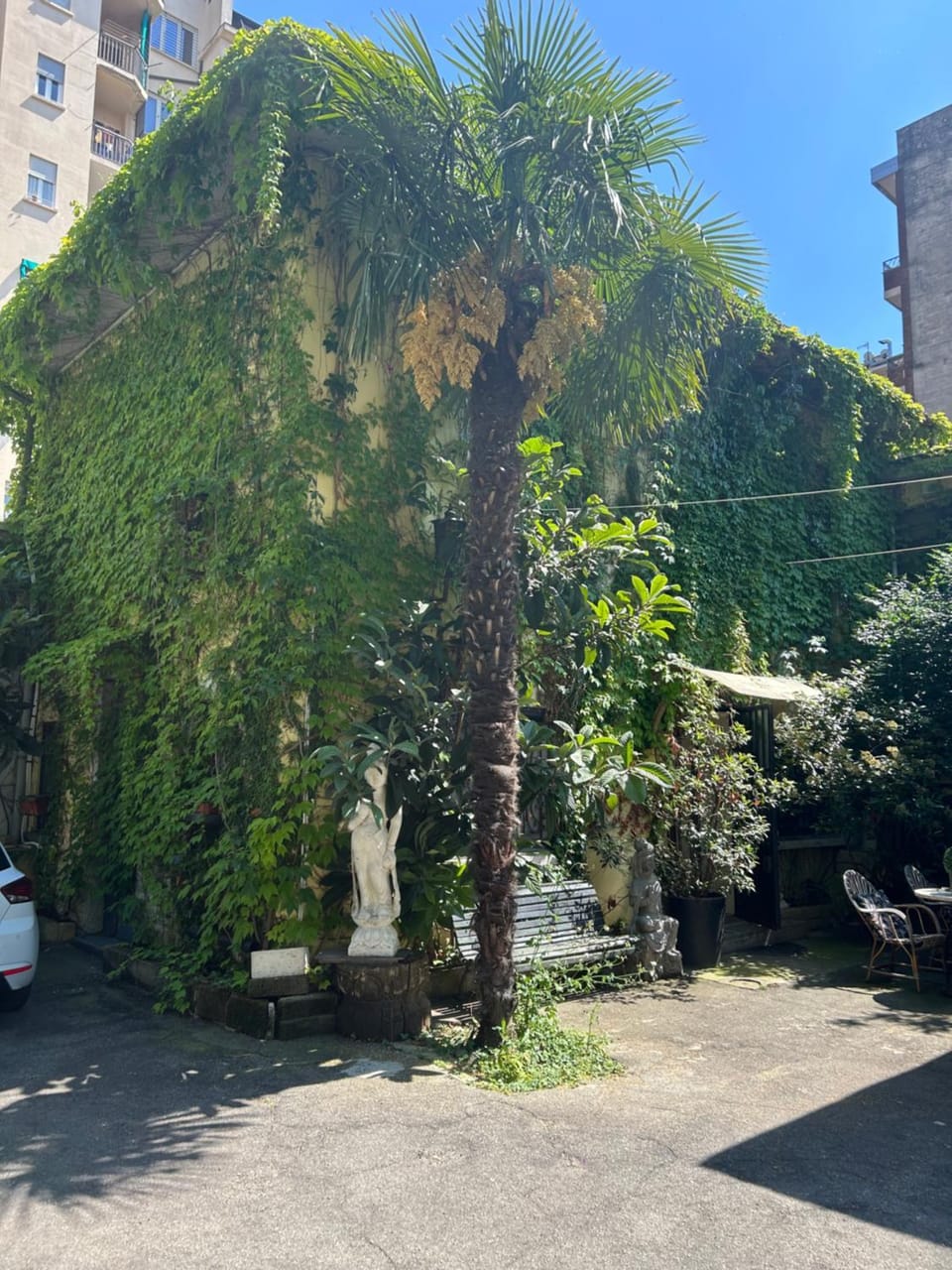 Property building