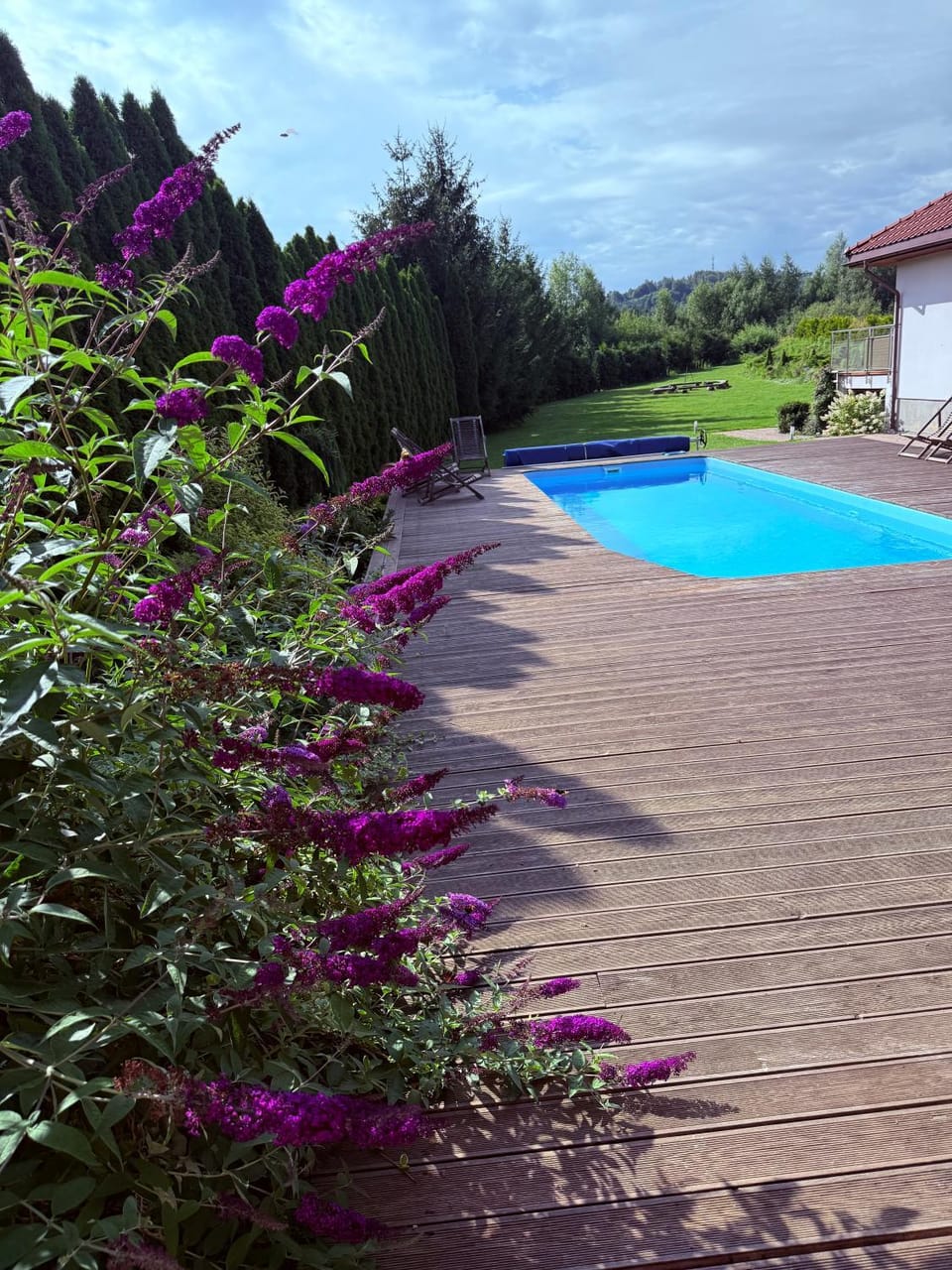 Apartamenty Euphoria Apartment in Lithuania