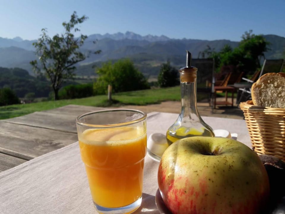 Balcony/Terrace, Food and drinks