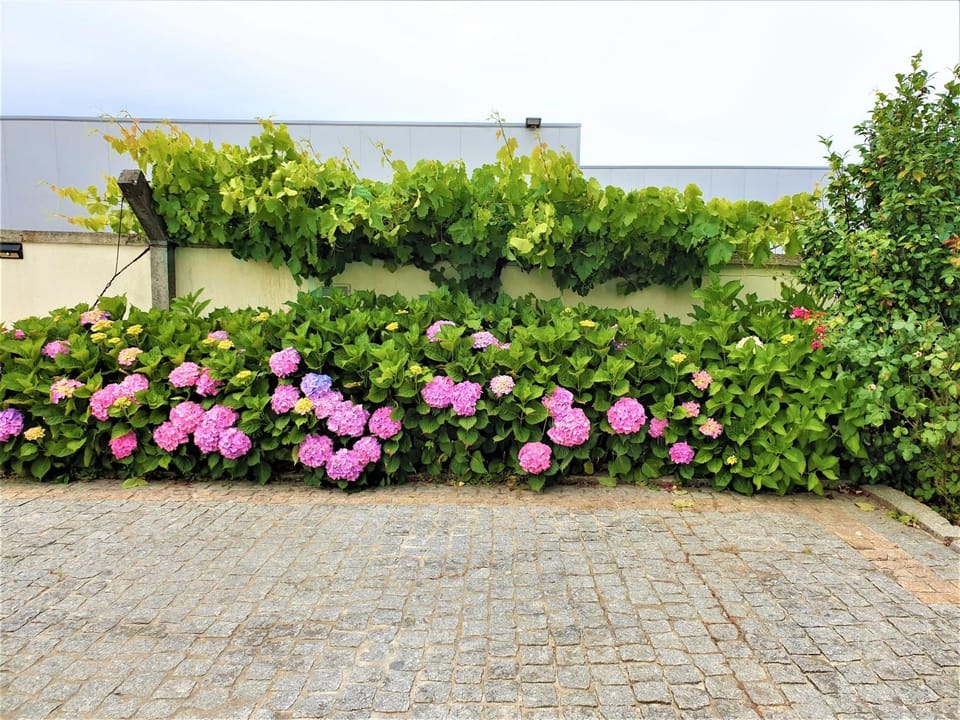 Garden, Garden view