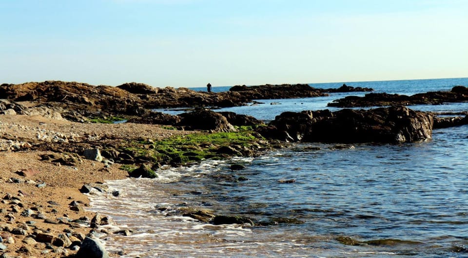 Natural landscape, Other