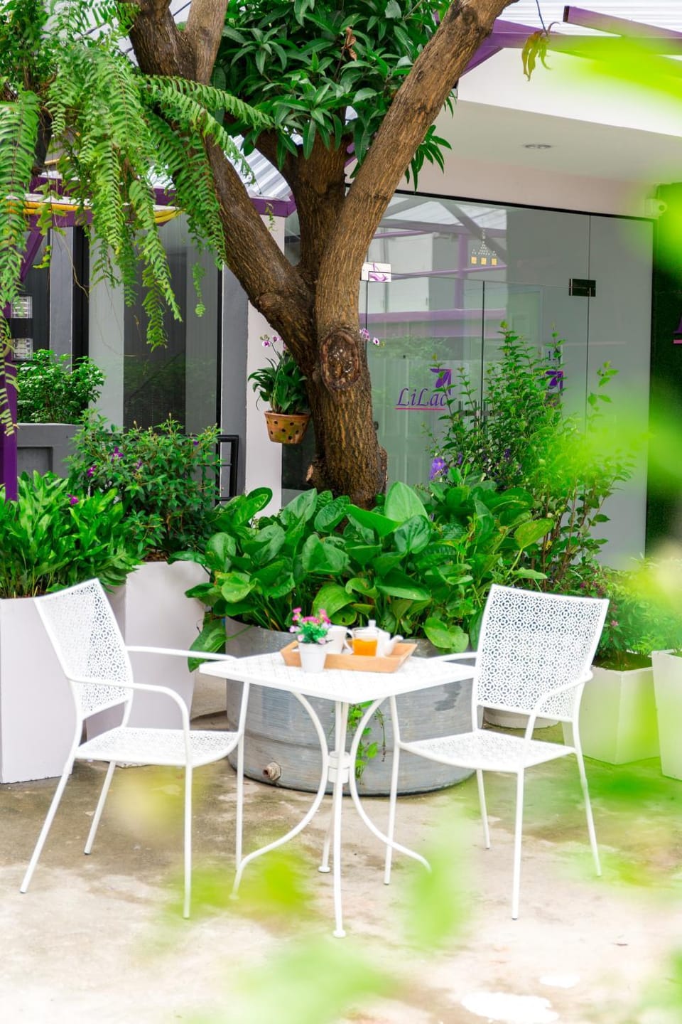 Garden